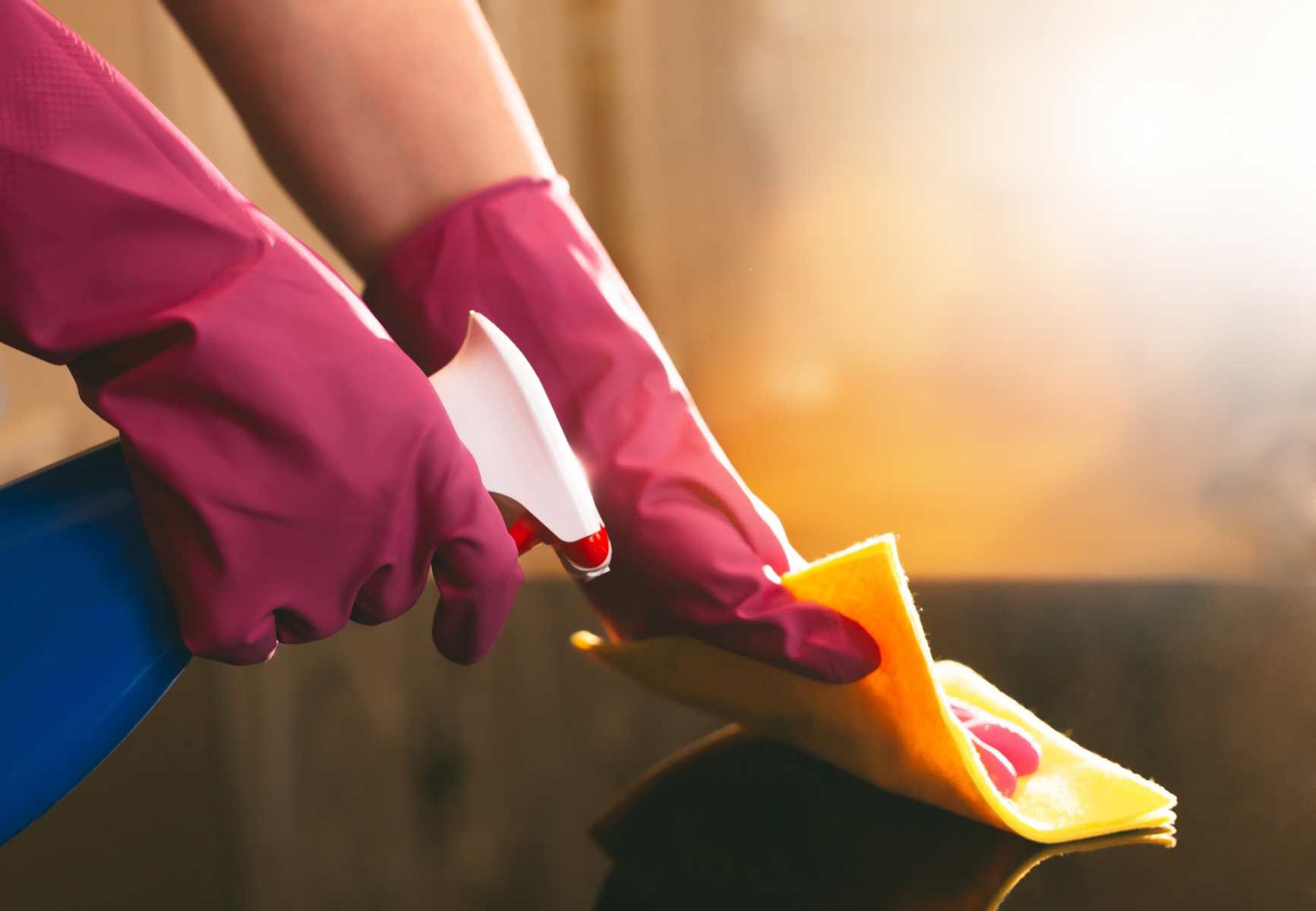 hygiene clean spray detergent cleaning sponge bacteria chemical house cleaning disinfection