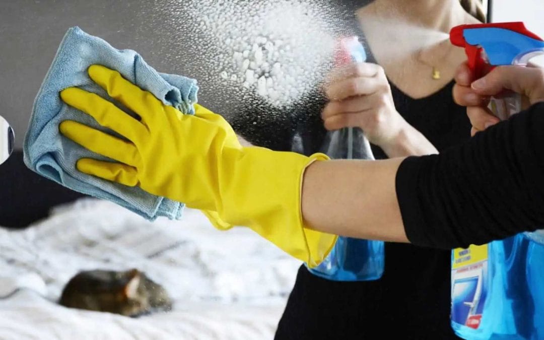 4 Signs that You Need Professional Office Cleaning Services